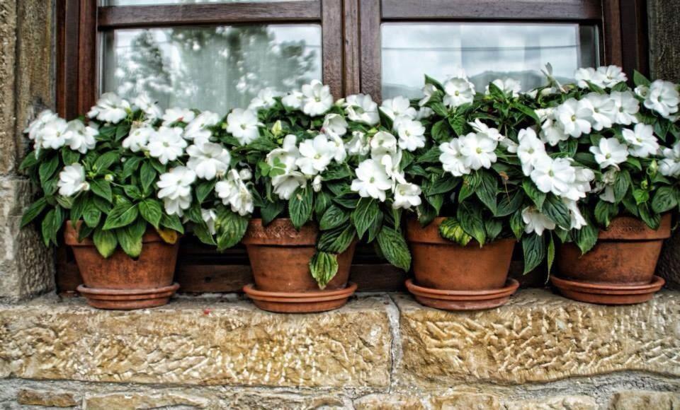 Casa Rural Los Campos Corao エクステリア 写真