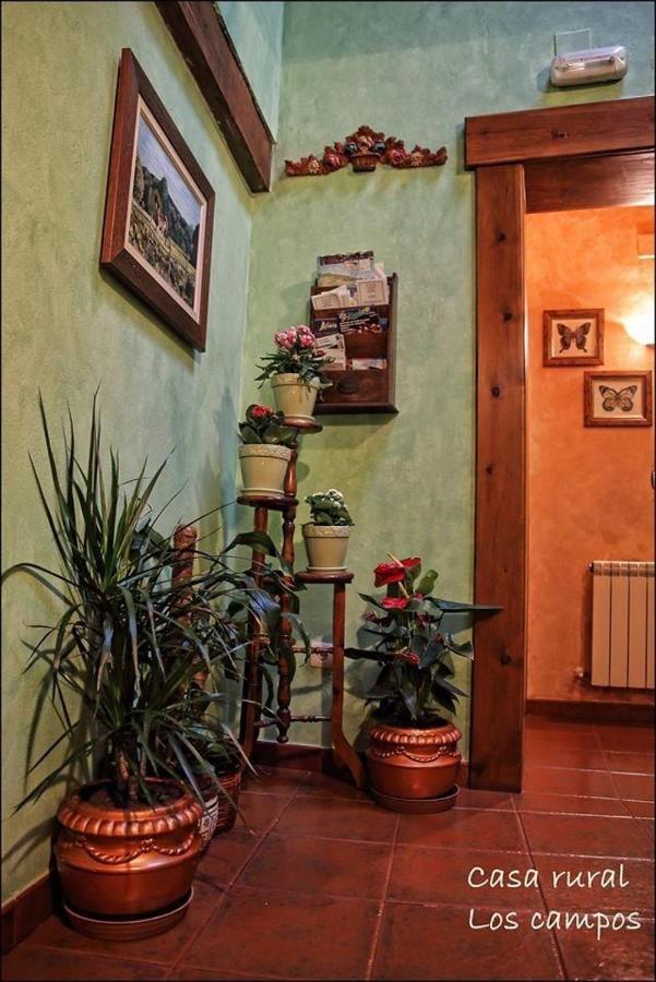 Casa Rural Los Campos Corao エクステリア 写真