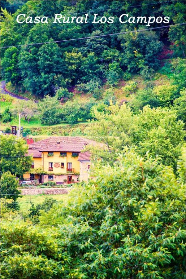 Casa Rural Los Campos Corao エクステリア 写真
