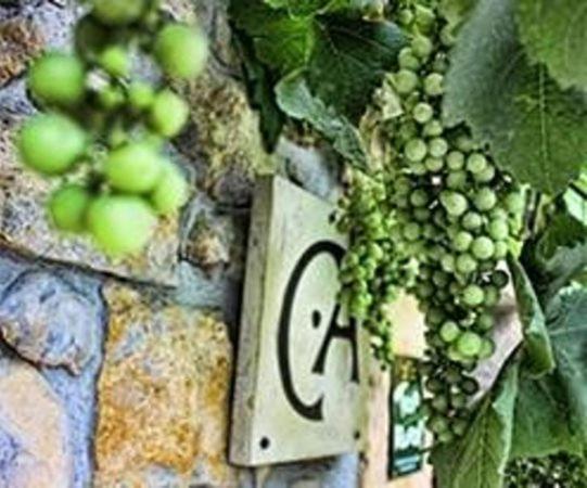 Casa Rural Los Campos Corao エクステリア 写真