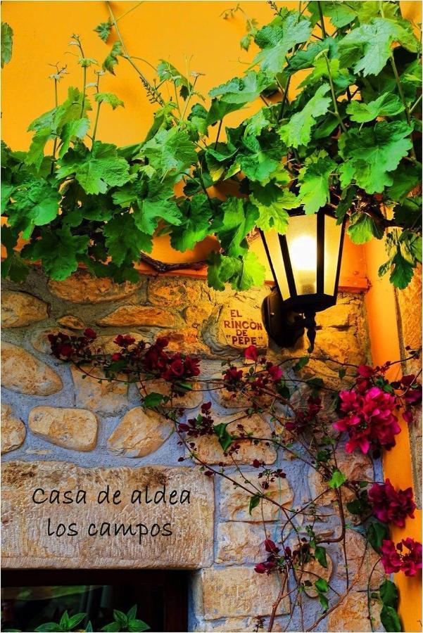 Casa Rural Los Campos Corao エクステリア 写真